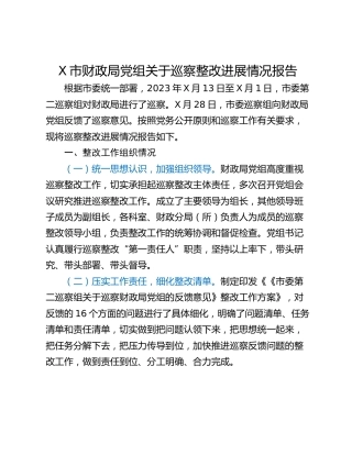 X市财政局党组关于巡察整改进展情况报告