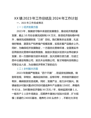 XX镇2023年工作总结及2024年工作计划