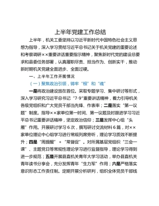 上半年党建工作总结