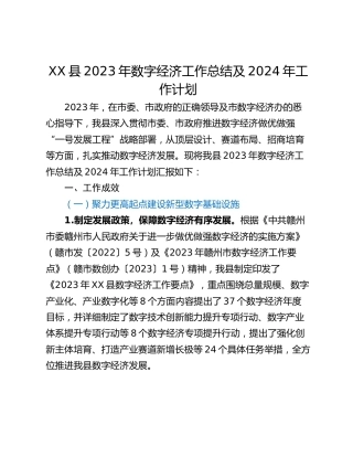XX县2023年数字经济工作总结及2024年工作计划