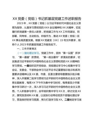 XX党委（党组）书记抓基层党建工作述职报告