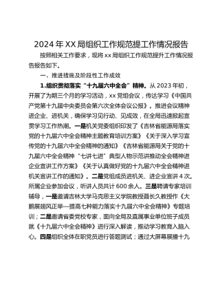 2024年XX局组织工作规范提工作情况报告