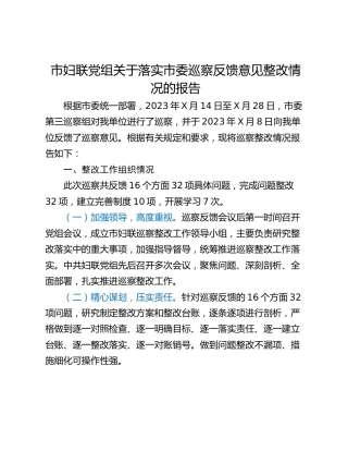 市妇联党组关于落实市委巡察反馈意见整改情况的报告