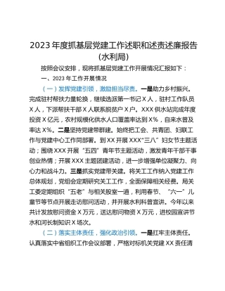 2023年度抓基层党建工作述职和述责述廉报告(水利局)