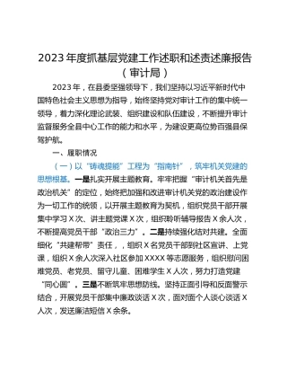 2023年度抓基层党建工作述职和述责述廉报告（审计局）