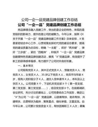 公司一企一品党建品牌创建工作总结