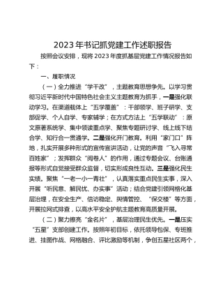 2023年书记抓党建工作述职报告
