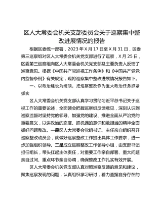 区人大常委会机关支部委员会关于巡察集中整改进展情况的报告