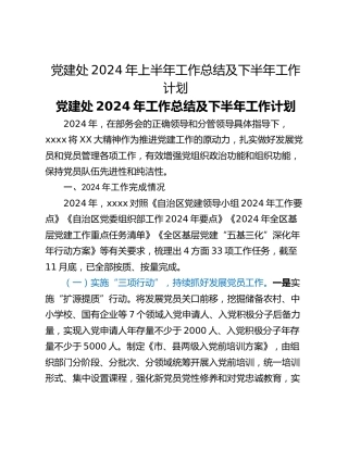 党建处2024年上半年工作总结及下半年工作计划