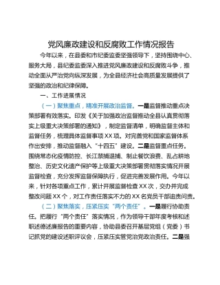 党风廉政建设和反腐败工作情况报告
