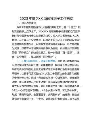 2023年度XXX局领导班子工作总结