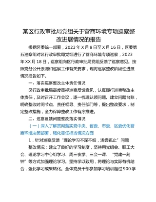 某区行政审批局党组关于营商环境专项巡察整改进展情况的报告