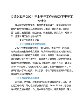 X镇财政所2024年上半年工作总结及下半年工作计划