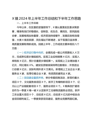 X镇2024年上半年工作总结和下半年工作思路