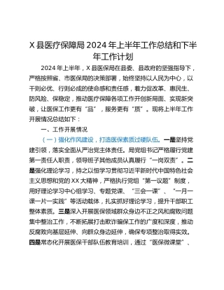 X县医疗保障局2024年上半年工作总结和下半年工作计划