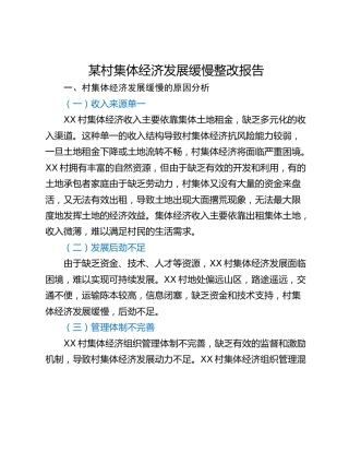 某村集体经济发展缓慢整改报告