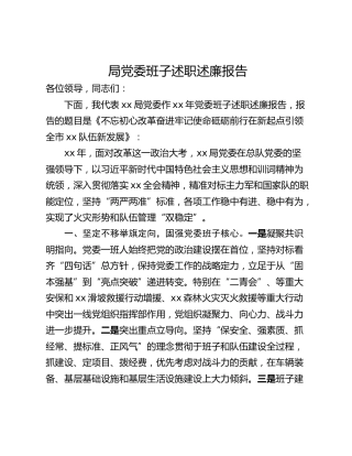 局党委班子述职述廉报告