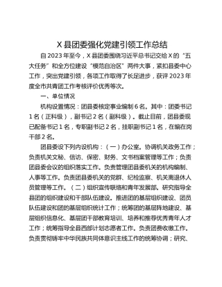 X县团委强化党建引领工作总结