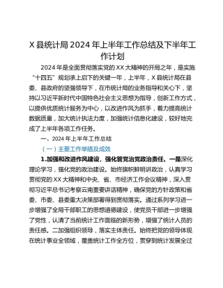 X县统计局2024年上半年工作总结及下半年工作计划