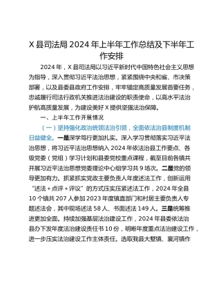 X县司法局2024年上半年工作总结及下半年工作安排