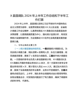 X县国调队2024年上半年工作总结和下半年工作打算