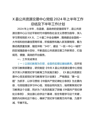 X县公共资源交易中心党组2024年上半年工作总结及下半年工作计划