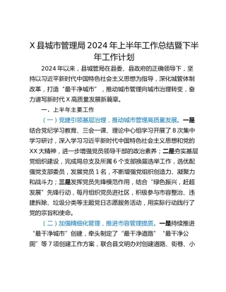X县城市管理局2024年上半年工作总结暨下半年工作计划