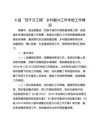 X县“百千万工程”乡村振兴工作专班工作情况