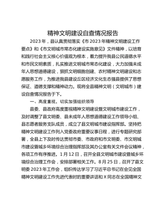 精神文明建设自查情况报告