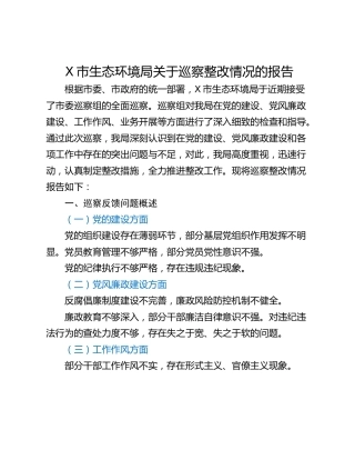 X市生态环境局关于巡察整改情况的报告