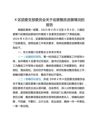 X区团委支部委员会关于巡察整改进展情况的报告