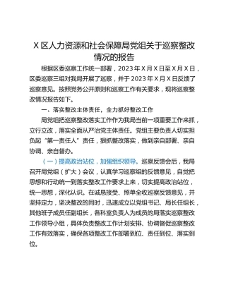 X区人力资源和社会保障局党组关于巡察整改情况的报告