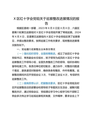 X区红十字会党组关于巡察整改进展情况的报告