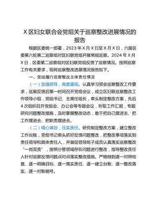 X区妇女联合会党组关于巡察整改进展情况的报告