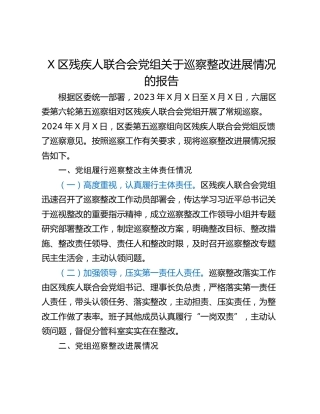 X区残疾人联合会党组关于巡察整改进展情况的报告
