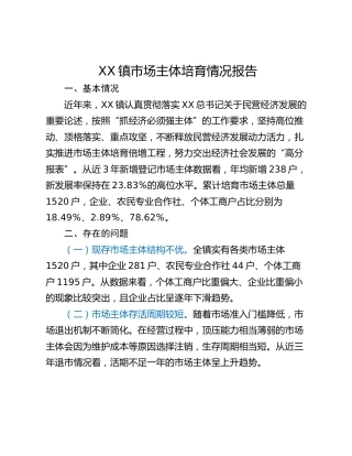 XX镇市场主体培育情况报告