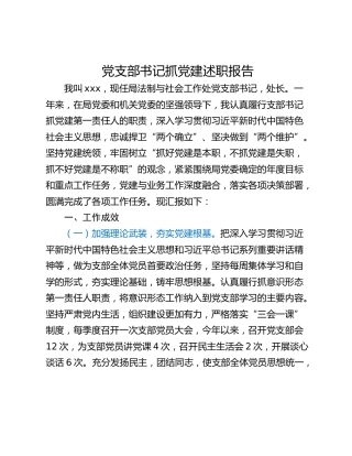 党支部书记抓党建述职报告_2