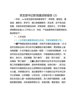 党支部书记抓党建述职报告 (2)