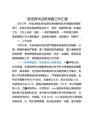 党支部书记抓党建工作汇报