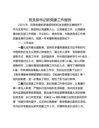 党支部书记抓党建工作报告