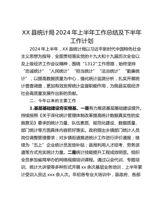 XX县统计局2024年上半年工作总结及下半年工作计划