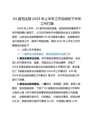 XX县司法局2024年上半年工作总结和下半年工作打算