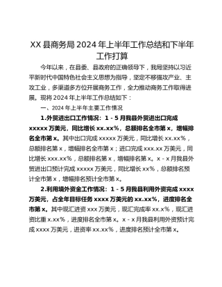 XX县商务局2024年上半年工作总结和下半年工作打算