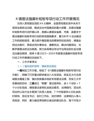 X镇普法强基补短板专项行动工作开展情况