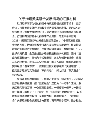 关于推进数实融合发展情况的汇报材料