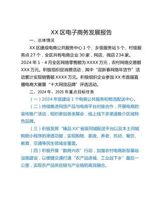 XX区电子商务发展报告