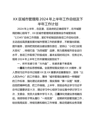 XX区城市管理局2024年上半年工作总结及下半年工作计划