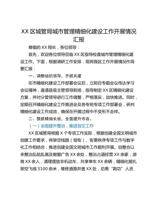 XX区城管局城市管理精细化建设工作开展情况汇报