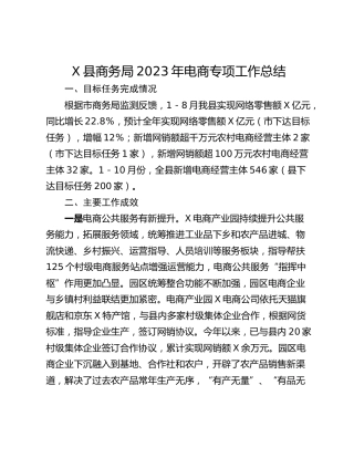 X县商务局2023年电商专项工作总结