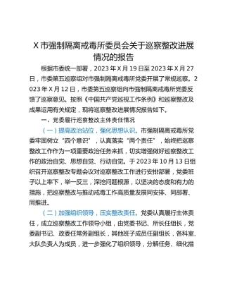 X市强制隔离戒毒所委员会关于巡察整改进展情况的报告